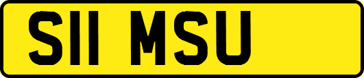 S11MSU