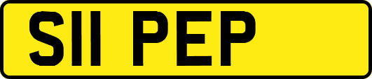 S11PEP