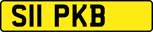 S11PKB