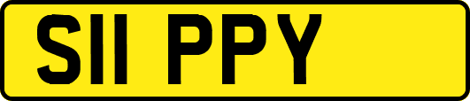 S11PPY