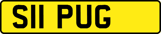 S11PUG