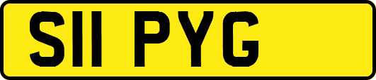 S11PYG