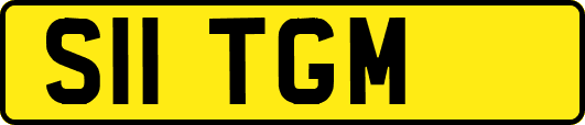 S11TGM