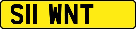 S11WNT