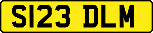 S123DLM