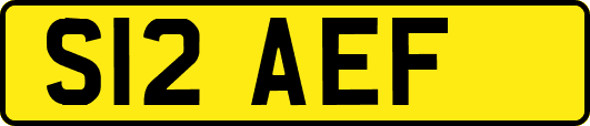 S12AEF
