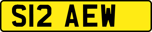 S12AEW