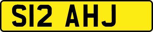 S12AHJ