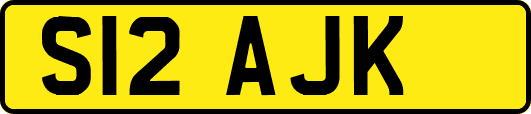 S12AJK