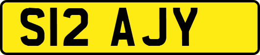 S12AJY