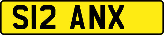 S12ANX