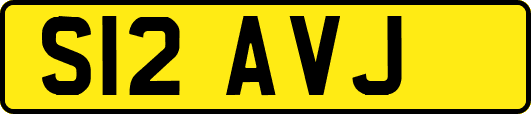 S12AVJ