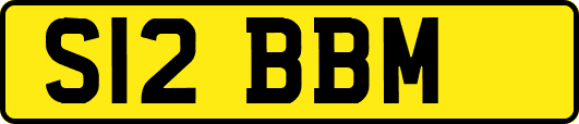 S12BBM