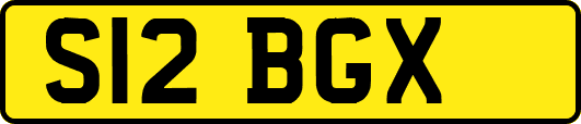 S12BGX