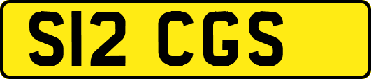 S12CGS