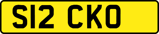 S12CKO