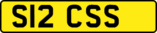 S12CSS