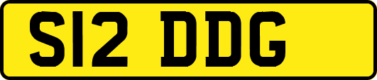 S12DDG