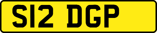 S12DGP