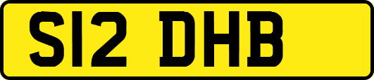 S12DHB