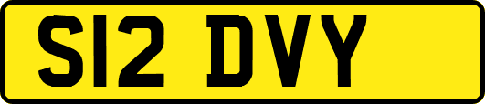 S12DVY