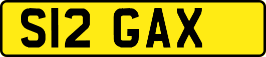 S12GAX