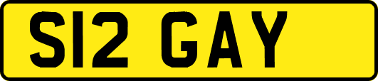 S12GAY