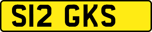S12GKS