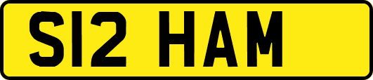 S12HAM