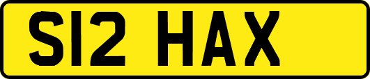 S12HAX