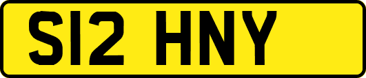 S12HNY