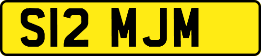 S12MJM