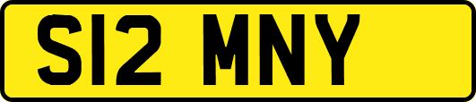 S12MNY