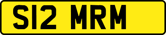 S12MRM