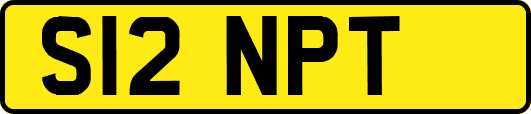 S12NPT