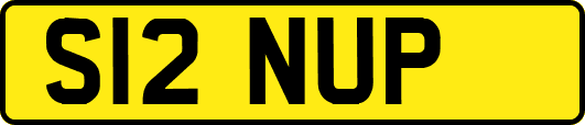 S12NUP