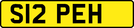 S12PEH
