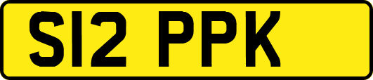 S12PPK