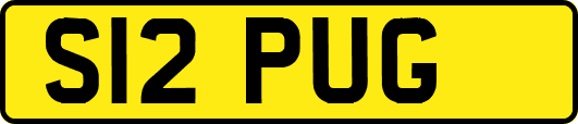 S12PUG