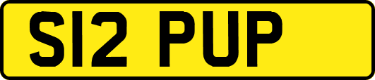 S12PUP