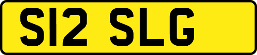 S12SLG