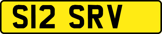 S12SRV