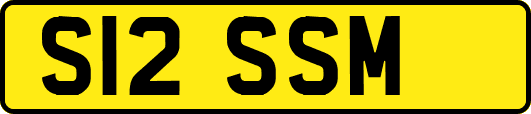 S12SSM