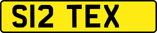 S12TEX