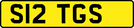 S12TGS