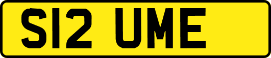S12UME