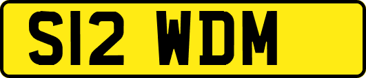 S12WDM