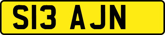 S13AJN