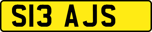 S13AJS