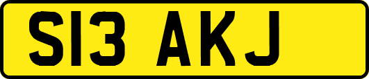 S13AKJ